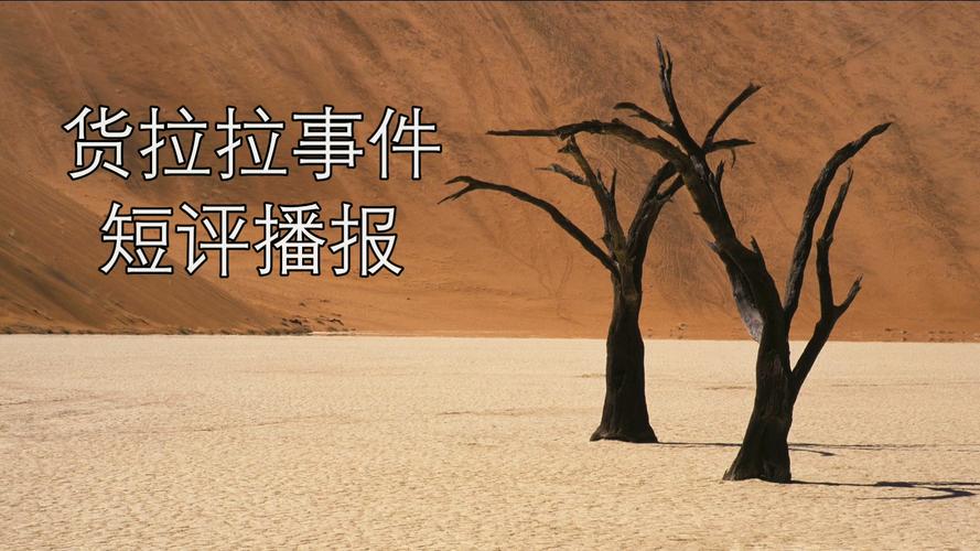 新澳最新版精准特和西子电梯总裁坠亡与西子电梯总裁坠亡事件